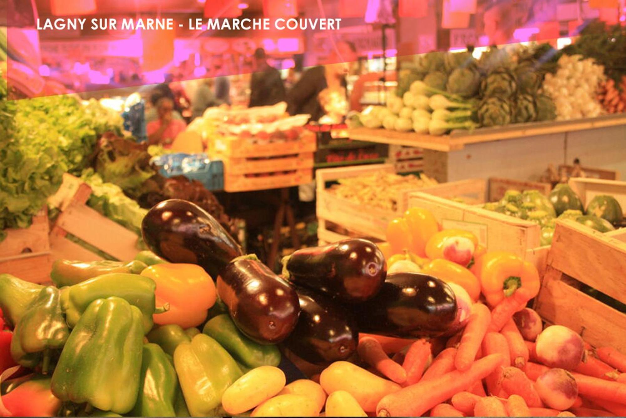 Le Traditionnel - Maison Avec Jardin & Parking - Ideal Disneyland & Paris Lagny-sur-Marne Экстерьер фото